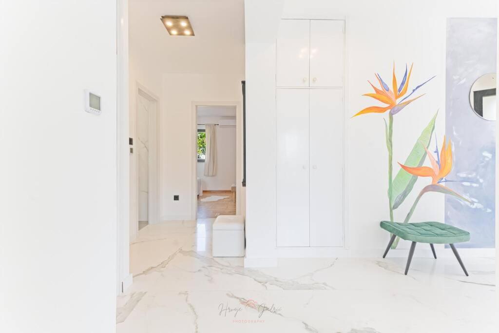 Strelitzia Apartment *